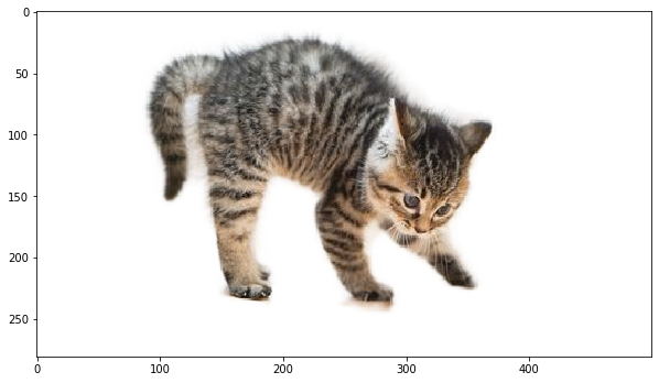 result cat result cat