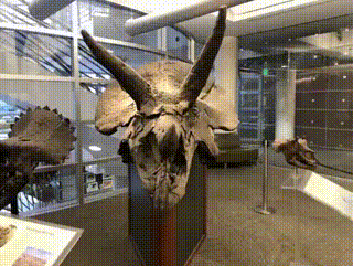 元の動画 元の動画