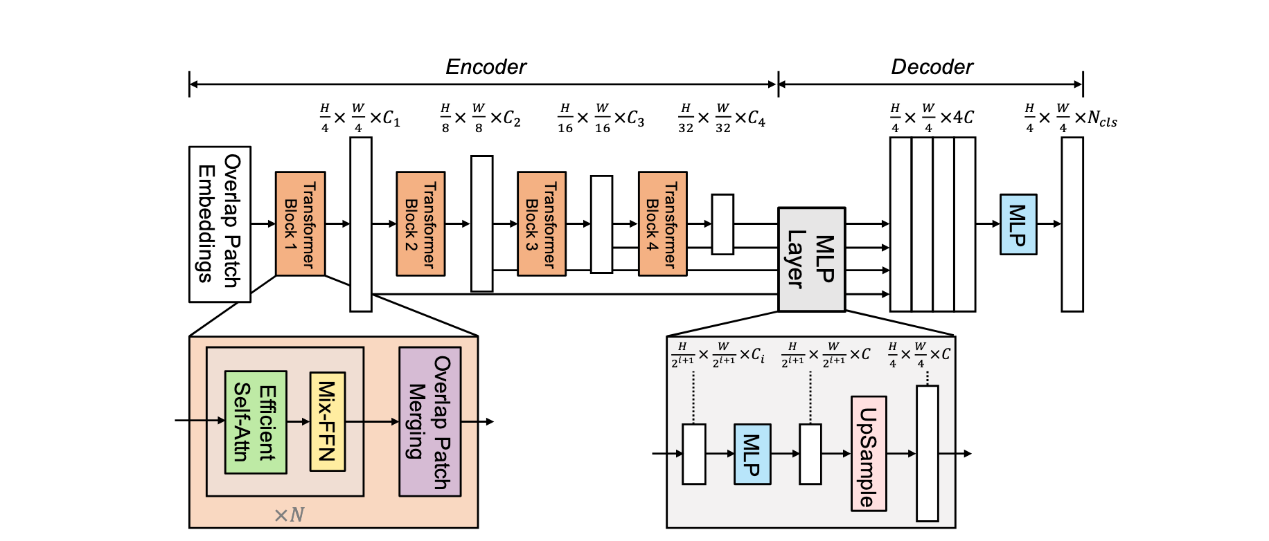 segformer model framework