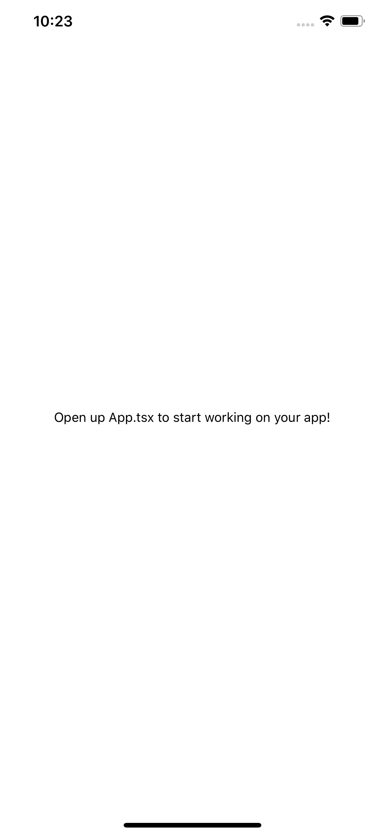 New Expo Project First screen when creating a new expo project